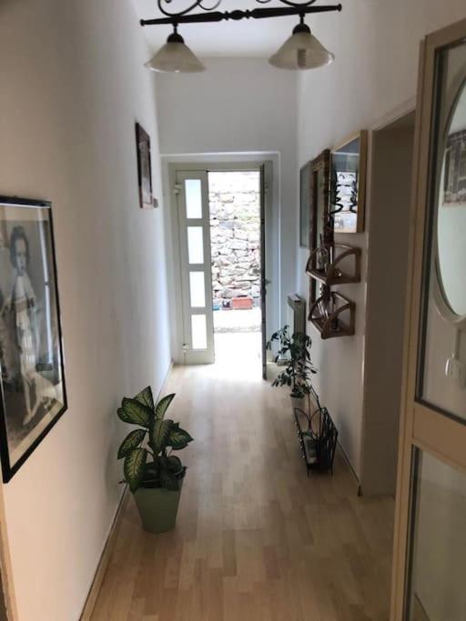 Appartamento Incantevole A 100Mt Dal Mare 카스틸리오네 델라 페스카이아 외부 사진